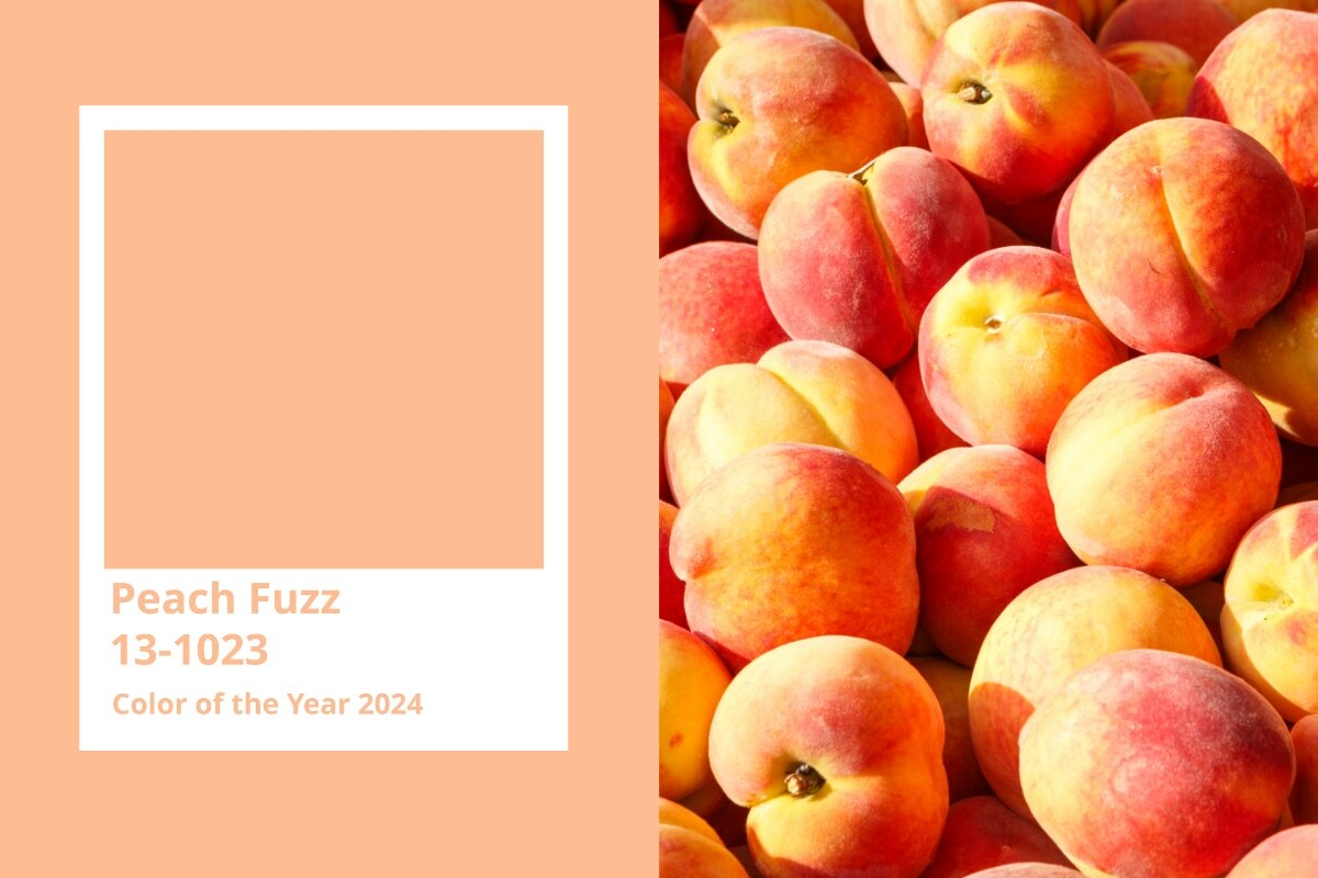 202124 Color What Are the Popular Colors of 2024 and How Can You Use Them in Hat ...